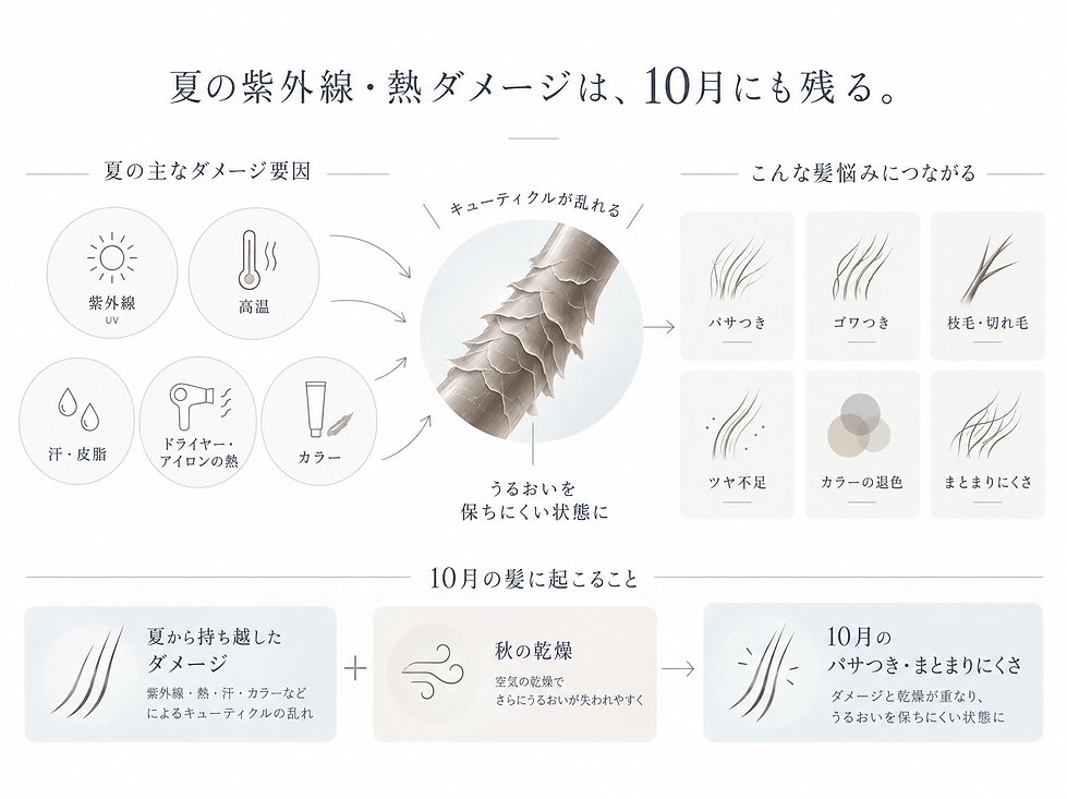 夏のダメージ、10月の髪悩みへ.png