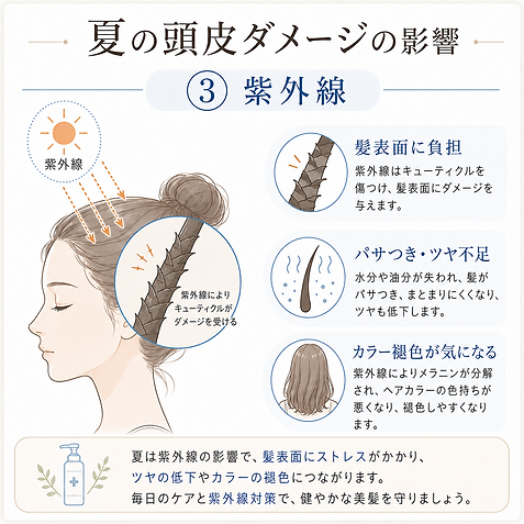 33cda30b-44a5-40b7-951a-c378cbecc554.png