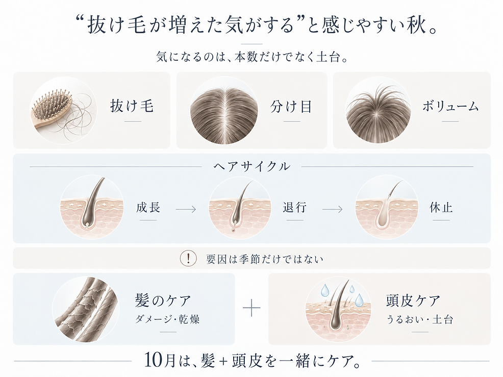 ChatGPT 画像 2026年10月8日 12_17_16-1.png