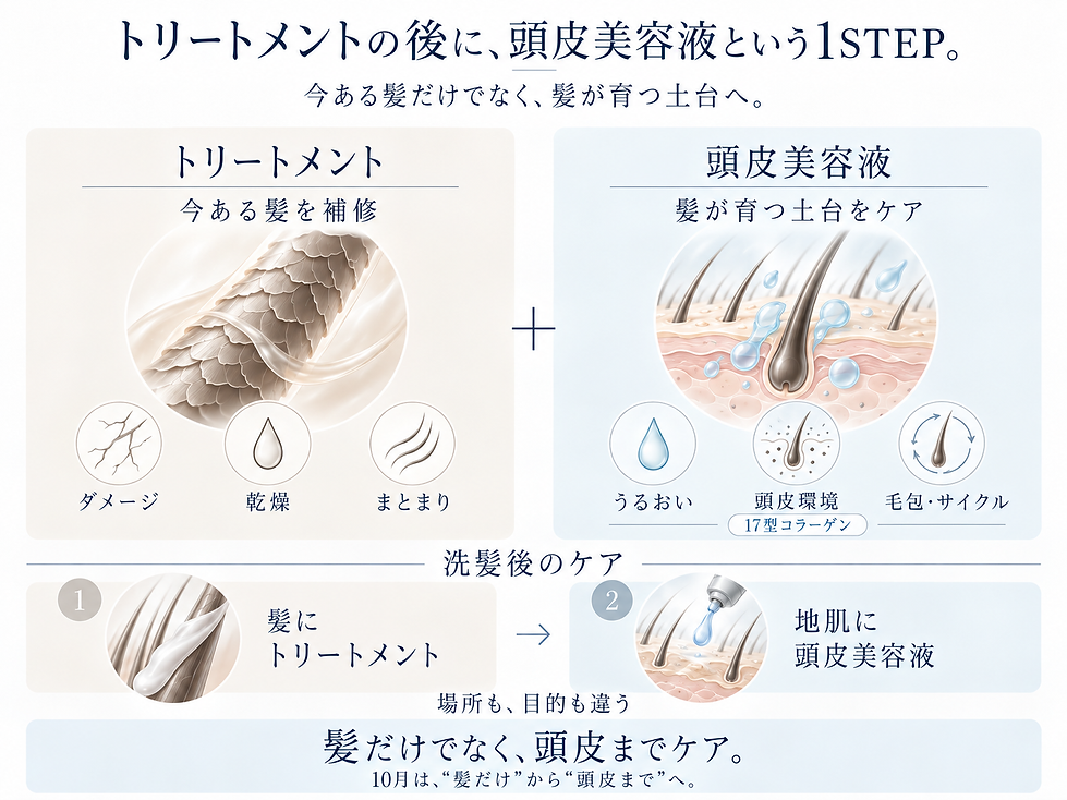 トリートメントから頭皮美容液へ.png
