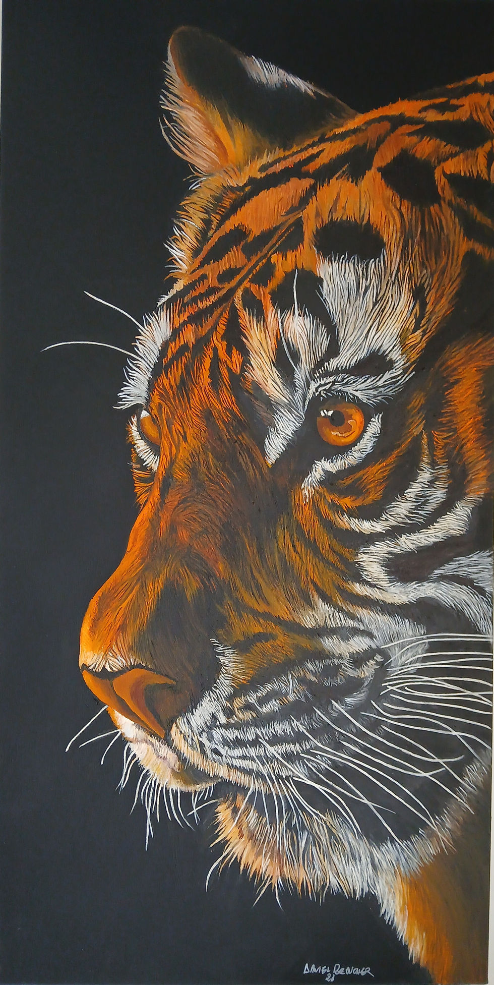 PORTRAIT DU TIGRE
