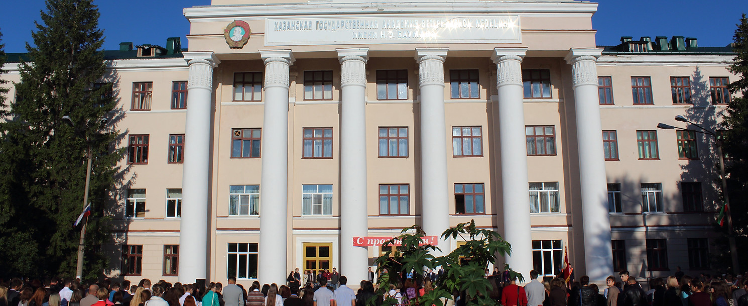 Kazan Veterinerlik