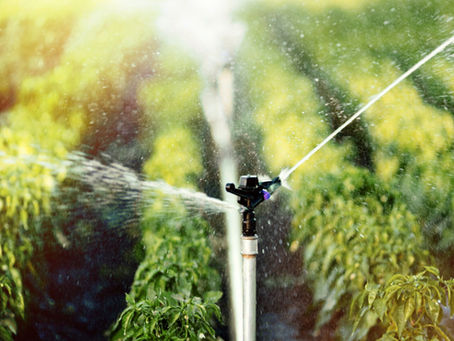 Sistemas de Irrigação e Produtividade