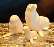 FE0025-Seal Family.jpg