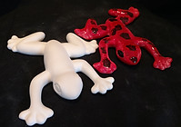 FE0006-Tree frog.jpg