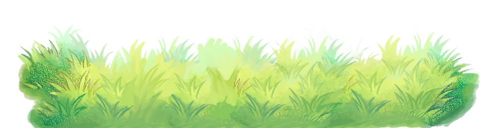 Wide Sunny grass.png