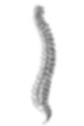 iStock-1629282457-min.jpg