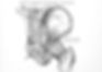 iStock-146004326_web.jpg