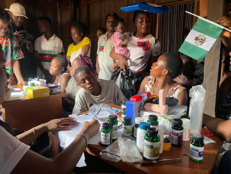 The Impact of Income Inequality on Health Outcomes in Nigeria