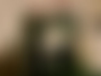 His Excellency Dr. Julio Palacios Sambrano, Governor of Cocle, Republic of Panama, joins the Household (May, 2024)