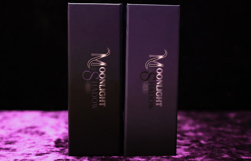 Packaging Prototype Update