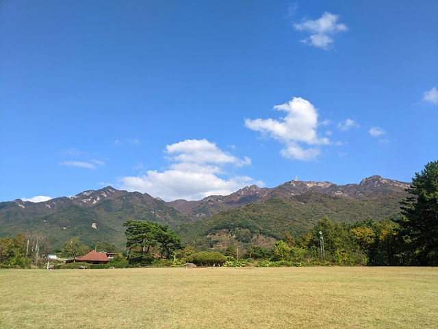 Meditation Main Centre Grass field