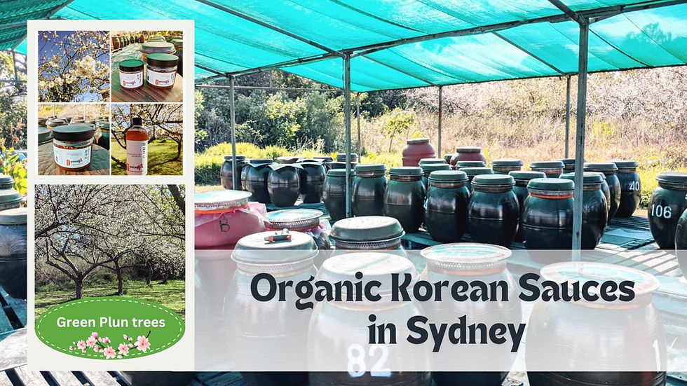 Discovering Organic Korean Fermented Sauces in Sydney (Soy sauce, Denjang)