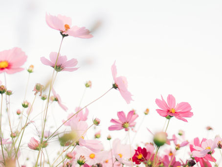 Embracing Genuineness: Transforming Life Through Sincere Appreciation and Reflection