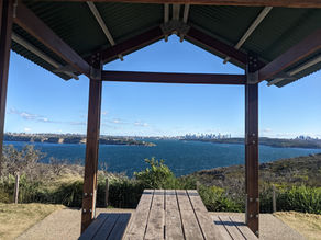 Exploring Manly Fairfax Track: A Wheelchair-Accessible Coastal Walk in Sydney
