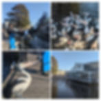 Woy Woy Pelican feeding