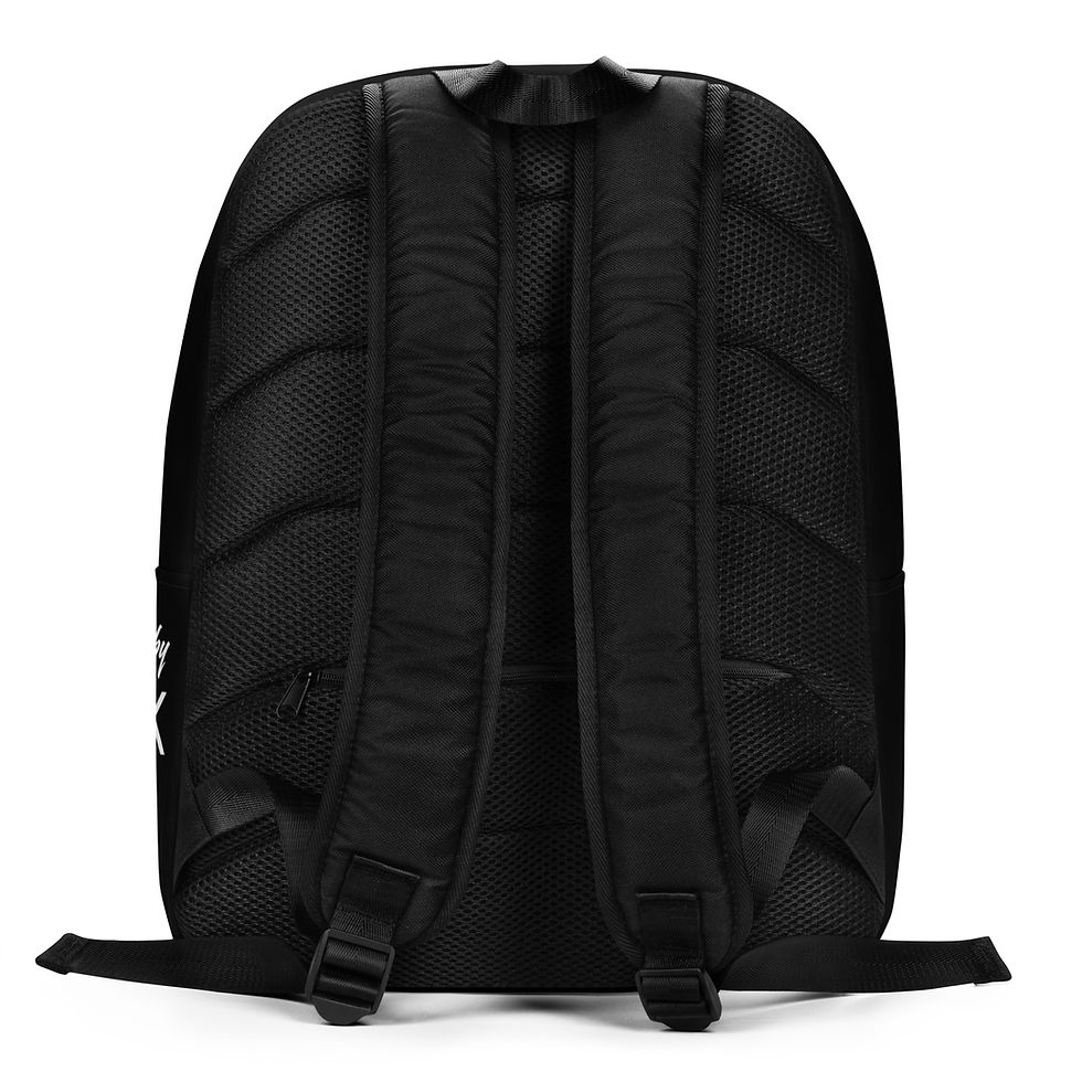 Miniature : Punisher 2.0 - Minimalist Backpack