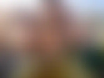 Ungdomskonsulent i Region Øst på deltid (vikariat)