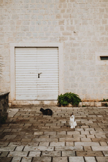 PERAST111-24