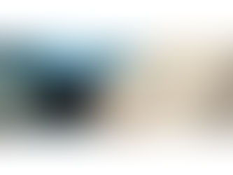 Trikker Bluebits Activation 29