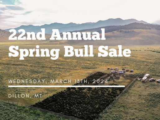 22nd Annual Spring Bull Sale