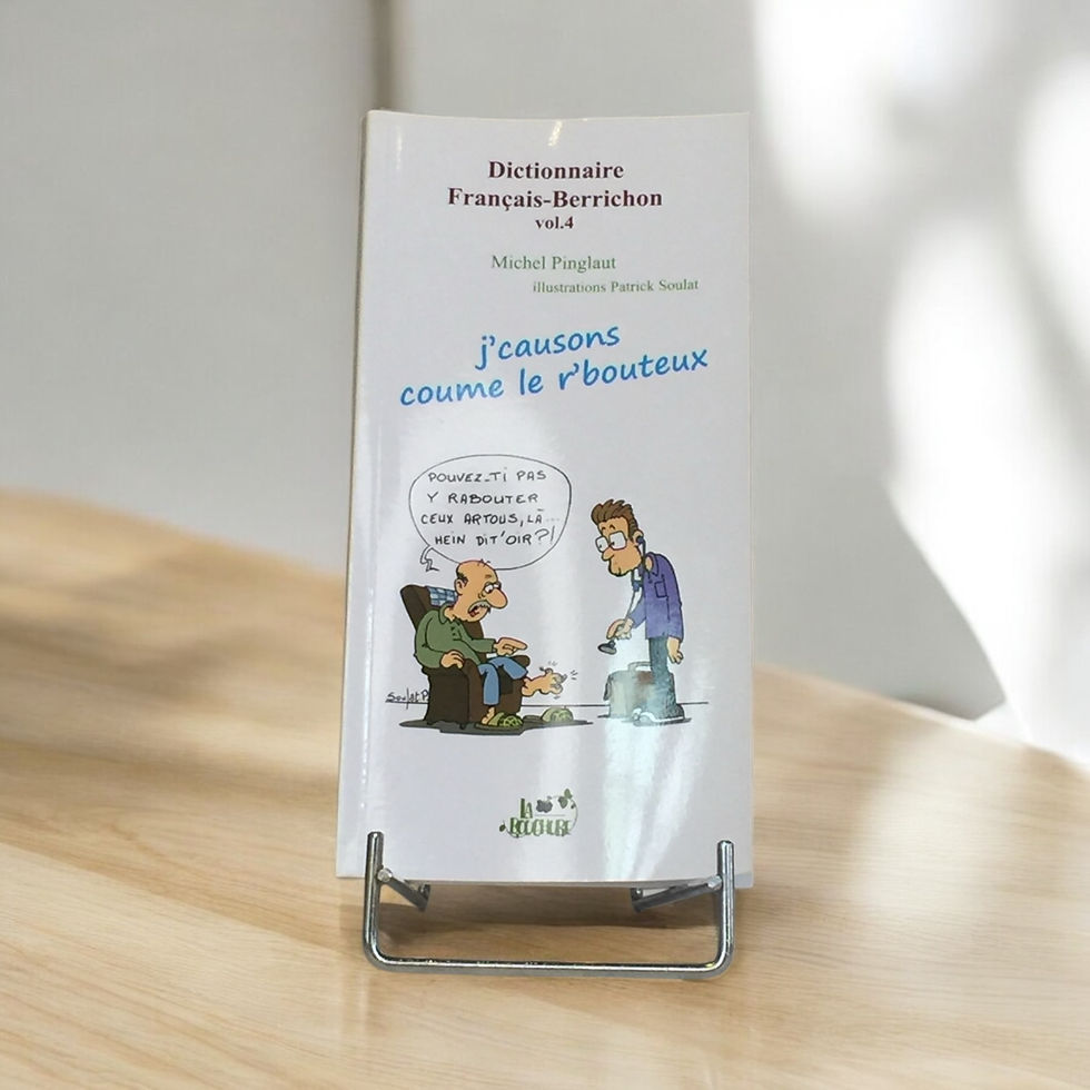 Miniature : Dictionnaires Français-Berrichon - Michel Pinglaut