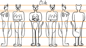 cide turn around2.jpg