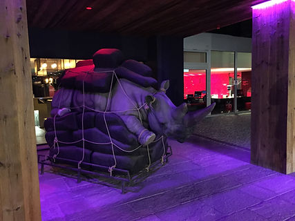 W Verbier Rhino
