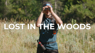 Lost in the Woods