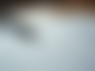 Becoming the Best Version of Themselves: How an INTP can Achieve Success in Career and Personal Growth