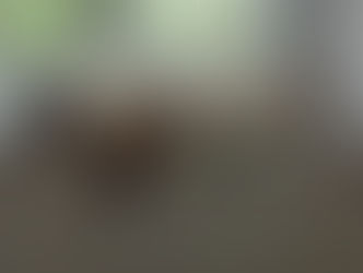 Mon chat; veux-tu des caresses ? 