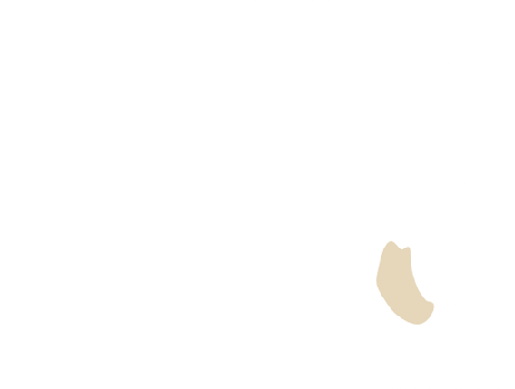 coldingham_coast_outline_2.png