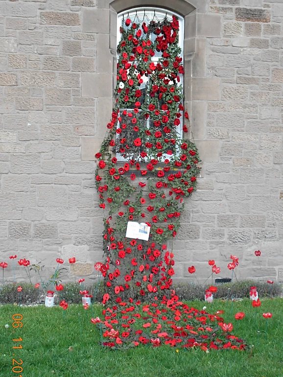 Poppies