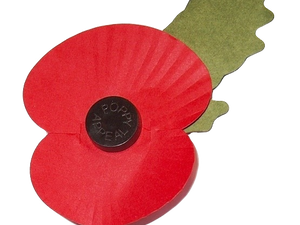 Remembrance Sunday
UPDATE AS OF 4th NOVEMBER