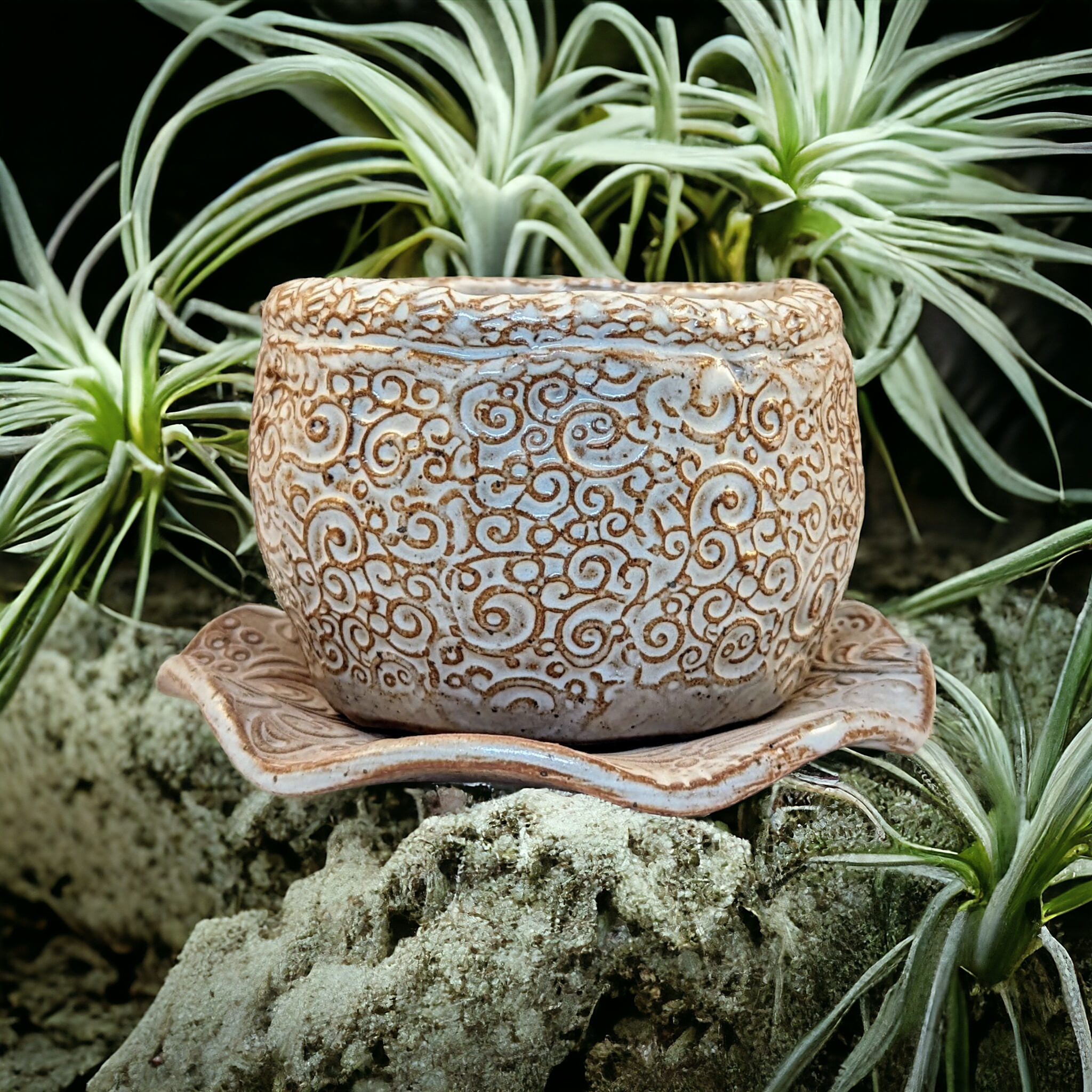 Small White swirly planting pot