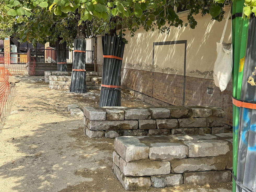 Miniature : COUR OASIS