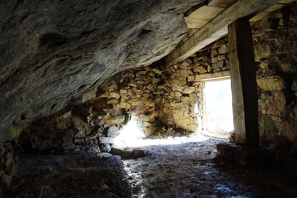 Miniature : CAVE A FROMAGE