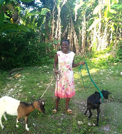Photo of Brunette and 2 goats thanks to CCO.jpg