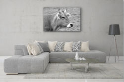 Kuhbild im Wohnzimmer