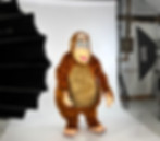 Une mascotte en location Belgique