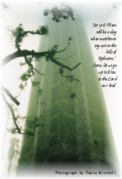 poster tower in sky signed 2.png