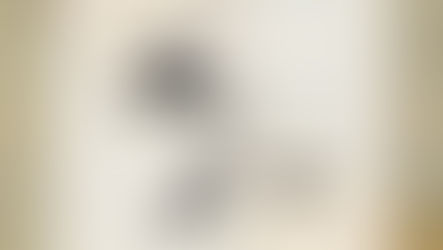 El asombro del Mundo. La travesía de la familia Abdalá. de Raúl Mendoza