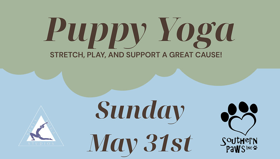 🐾Poses for Paws: A Puppy Yoga Fundraiser 🧘♀️🐶