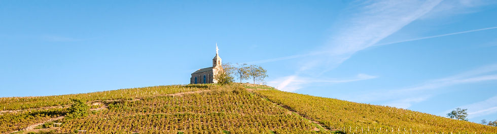 AdobeStock_176492112madone fleurie_edited_edited.jpg