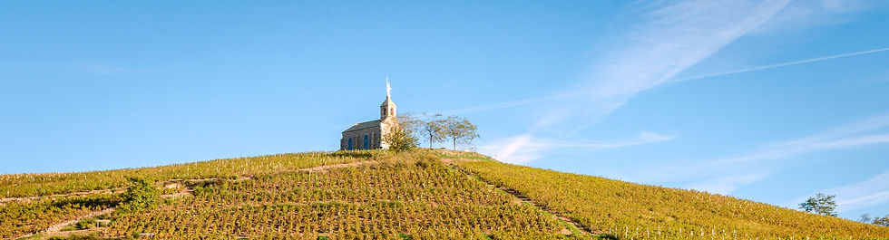 AdobeStock_176492112madone fleurie_edited.jpg