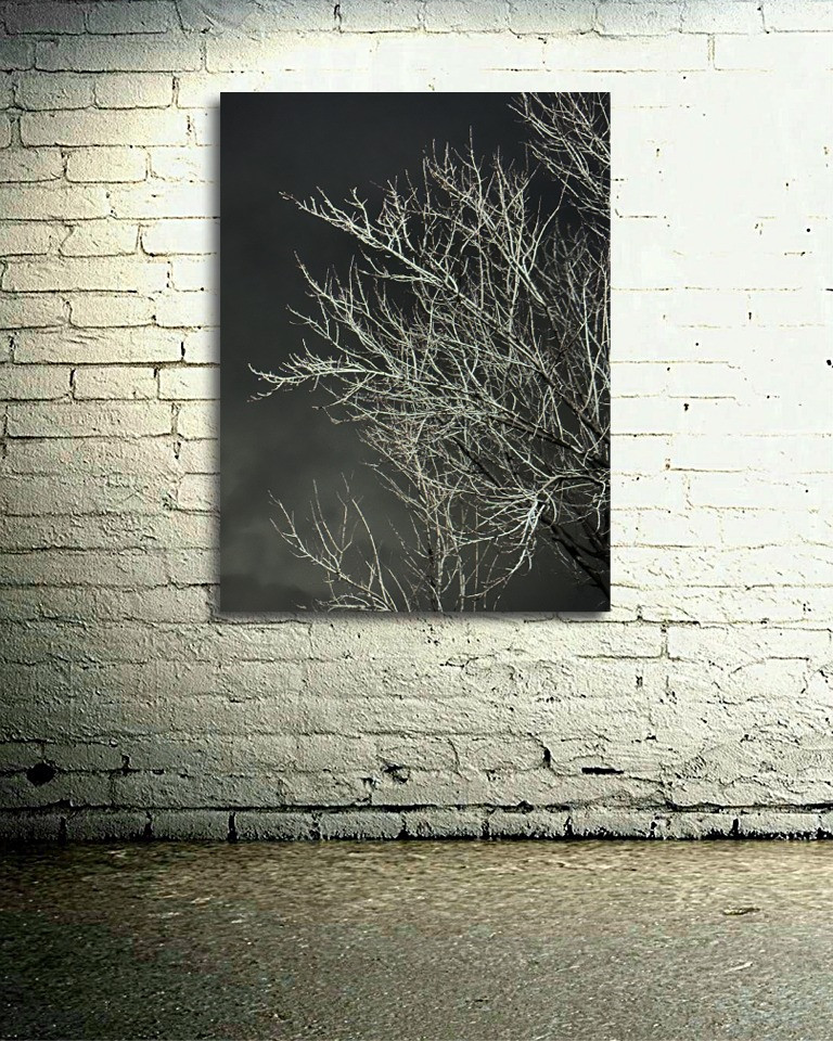Thumbnail: Branching out