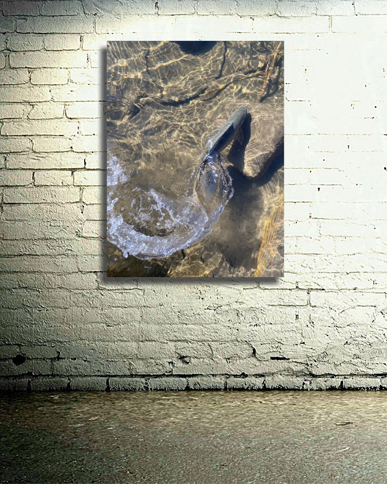 Thumbnail: Fish Swish