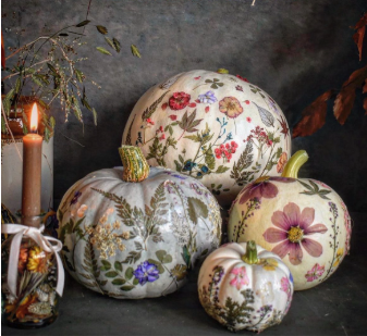 Halloween Pressed Flower Pumpkins Workshop