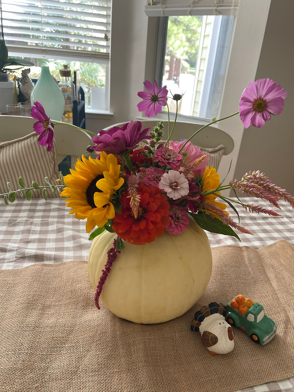 Petals & Pumpkins - DIY Bloom Bar