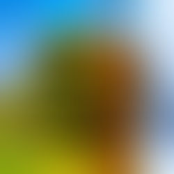 2026: Use Less. Create More. Belong Deeper.